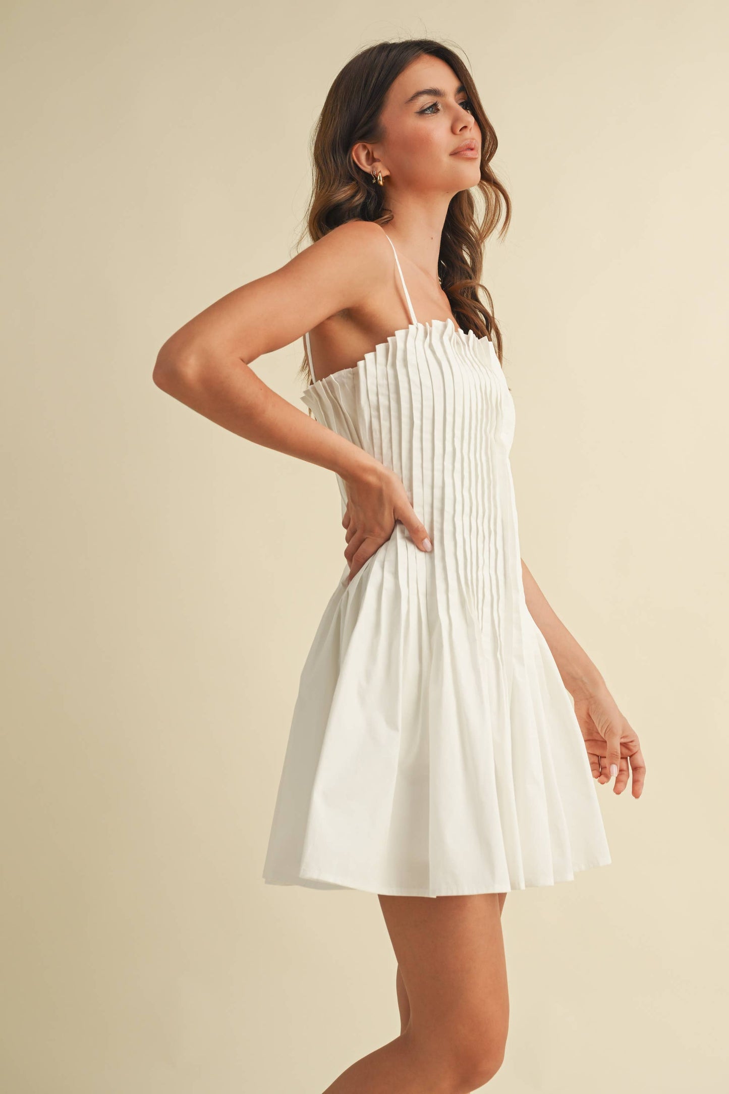 Flared Pleated Dress