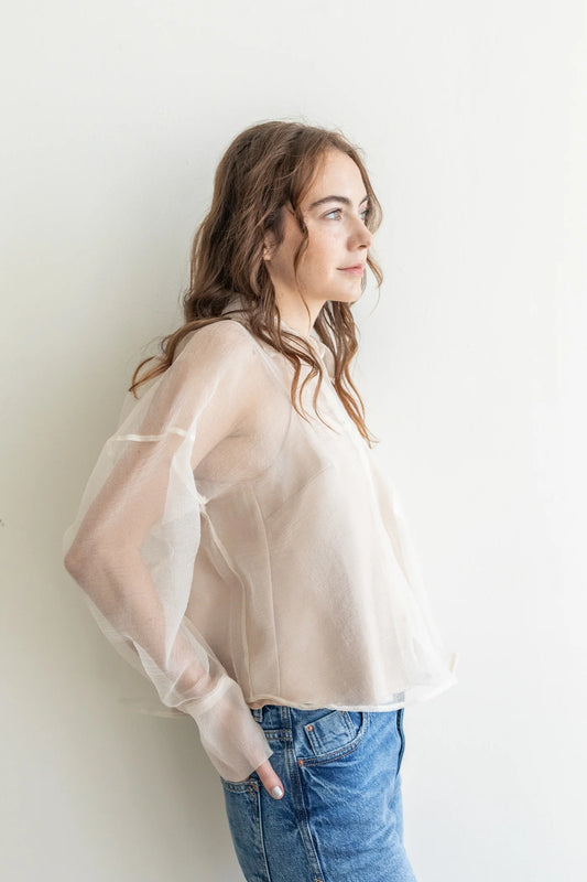 Champagne Dress Sheer Button Down Top
